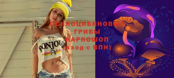 гидропоника Заволжск
