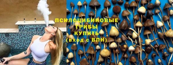 стафф Заводоуковск