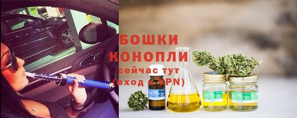 стафф Заводоуковск