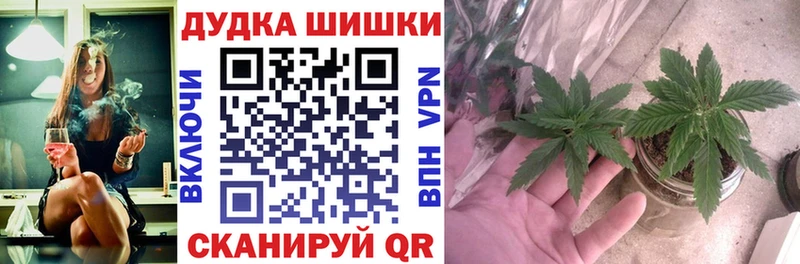 Марихуана гибрид  Купить закладки  Чудово 